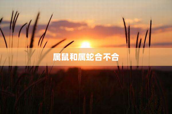属鼠和属蛇合不合