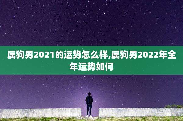 属狗男2021的运势怎么样,属狗男2022年全年运势如何