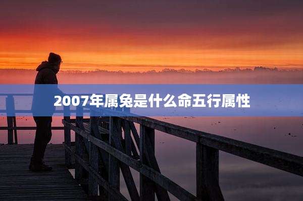 2007年属兔是什么命五行属性