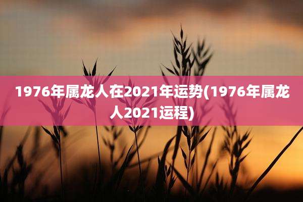 1976年属龙人在2021年运势(1976年属龙人2021运程)