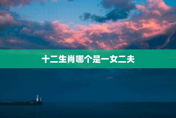 十二生肖哪个是一女二夫
