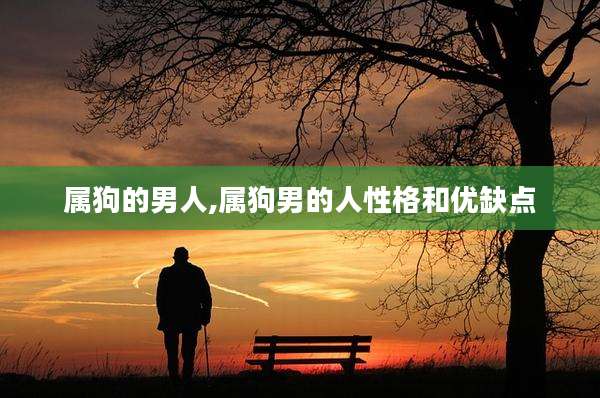 属狗的男人,属狗男的人性格和优缺点