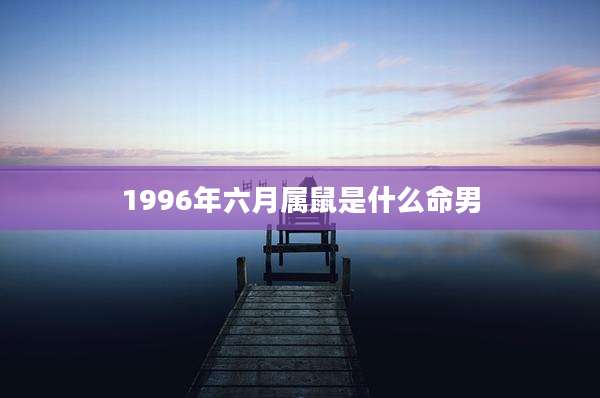 1996年六月属鼠是什么命男