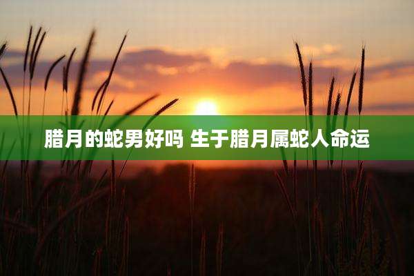腊月的蛇男好吗 生于腊月属蛇人命运