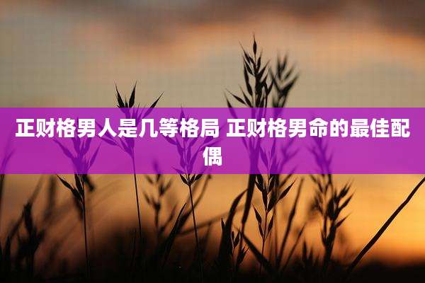 正财格男人是几等格局 正财格男命的最佳配偶