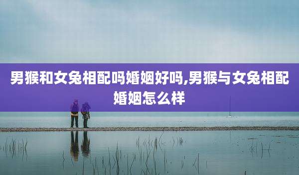 男猴和女兔相配吗婚姻好吗,男猴与女兔相配婚姻怎么样