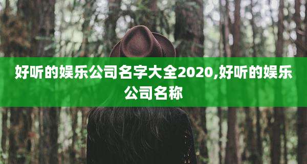 好听的娱乐公司名字大全2020,好听的娱乐公司名称