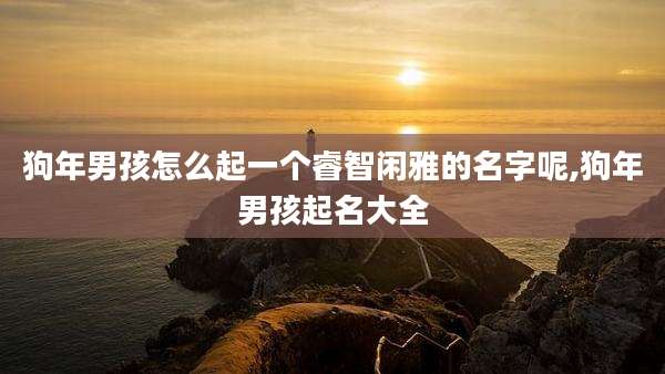 狗年男孩怎么起一个睿智闲雅的名字呢,狗年男孩起名大全