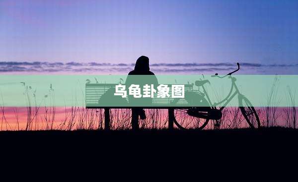 乌龟卦象图