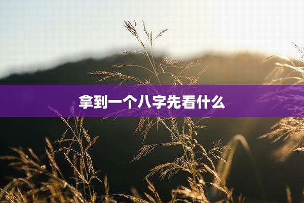 拿到一个八字先看什么
