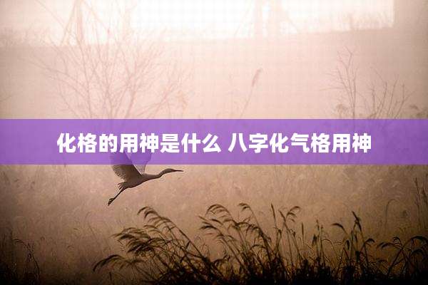 化格的用神是什么 八字化气格用神