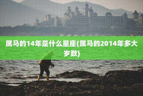 属马的14年是什么星座(属马的2014年多大岁数)