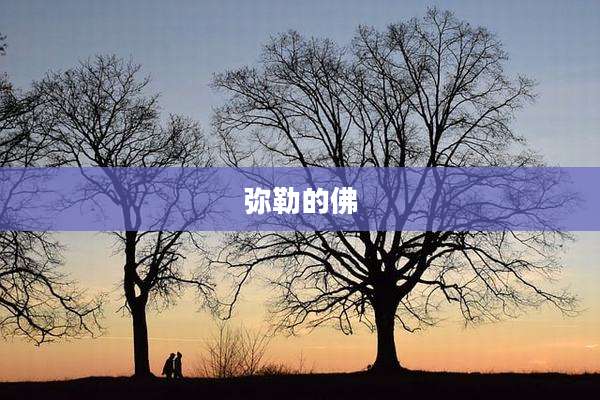 弥勒的佛