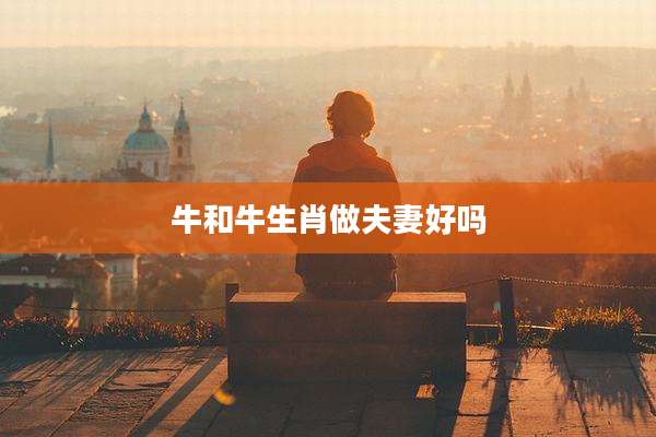 牛和牛生肖做夫妻好吗