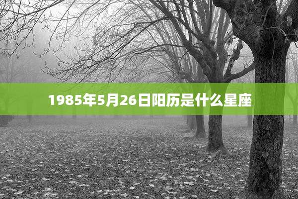 1985年5月26日阳历是什么星座