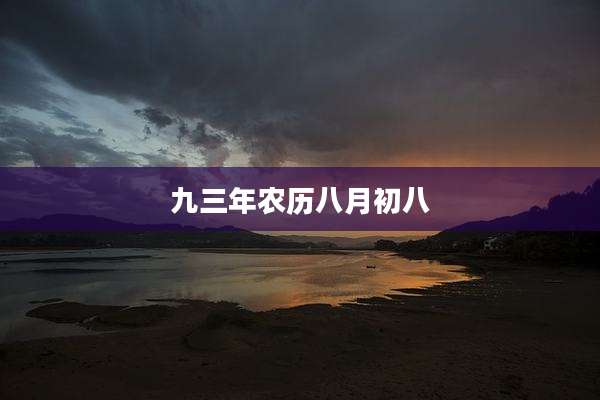 九三年农历八月初八
