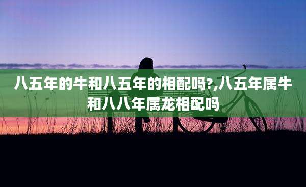 八五年的牛和八五年的相配吗?,八五年属牛和八八年属龙相配吗