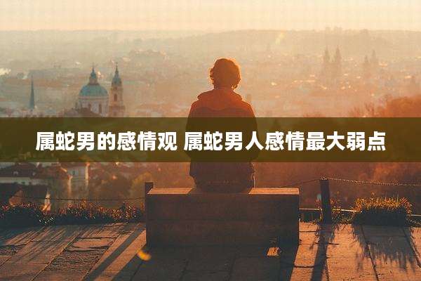 属蛇男的感情观 属蛇男人感情最大弱点