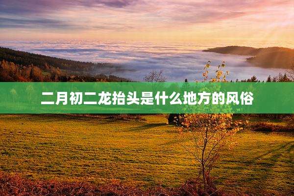 二月初二龙抬头是什么地方的风俗