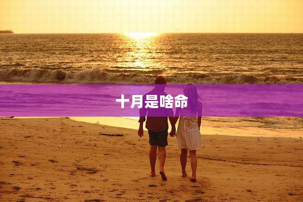 十月是啥命