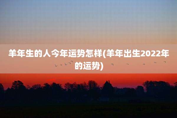 羊年生的人今年运势怎样(羊年出生2022年的运势)