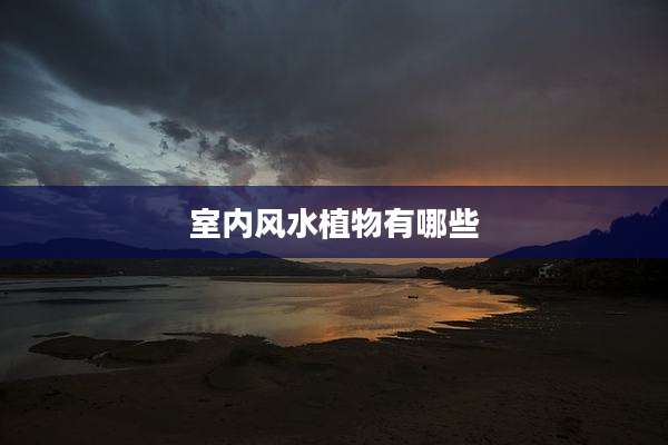 室内风水植物有哪些