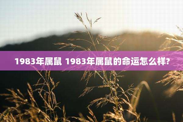 1983年属鼠 1983年属鼠的命运怎么样?