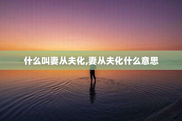 什么叫妻从夫化,妻从夫化什么意思