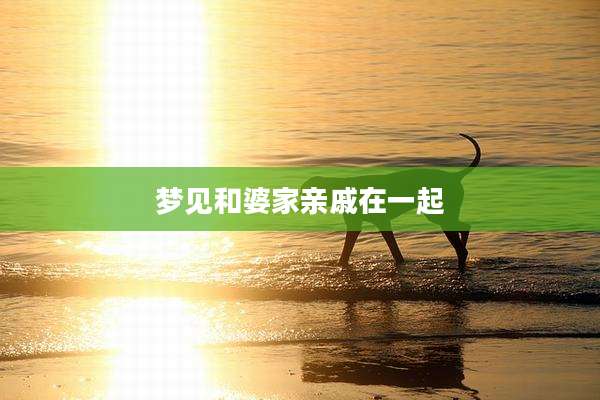 梦见和婆家亲戚在一起