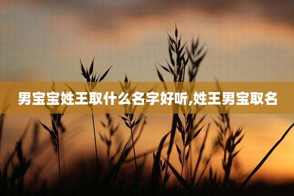 男宝宝姓王取什么名字好听,姓王男宝取名