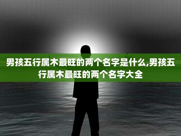 男孩五行属木最旺的两个名字是什么,男孩五行属木最旺的两个名字大全