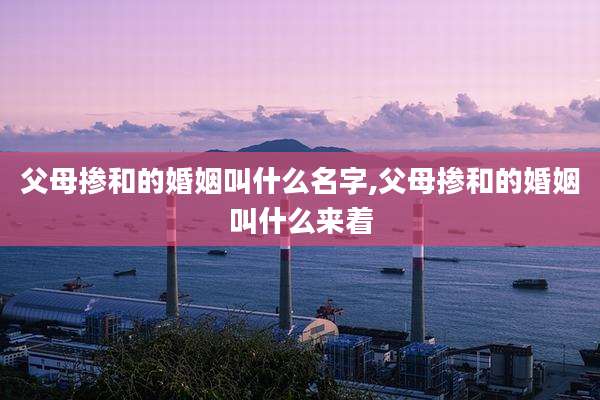 父母掺和的婚姻叫什么名字,父母掺和的婚姻叫什么来着
