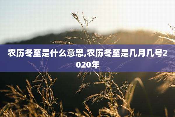农历冬至是什么意思,农历冬至是几月几号2020年