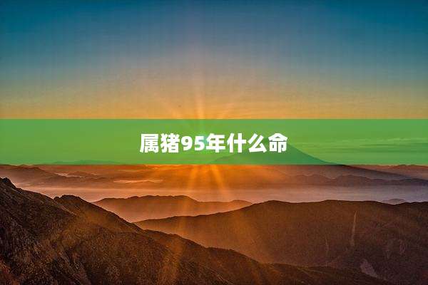 属猪95年什么命