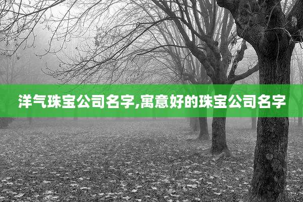 洋气珠宝公司名字,寓意好的珠宝公司名字