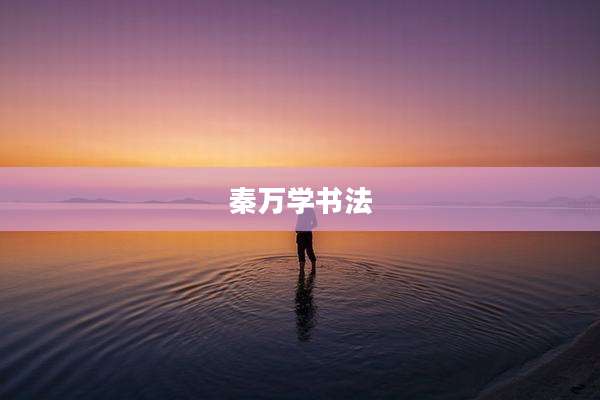 秦万学书法