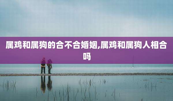 属鸡和属狗的合不合婚姻,属鸡和属狗人相合吗