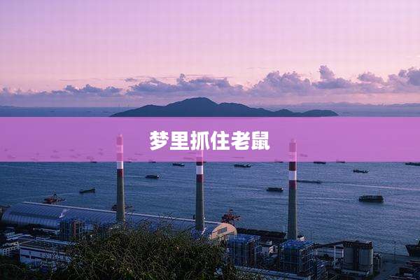 梦里抓住老鼠