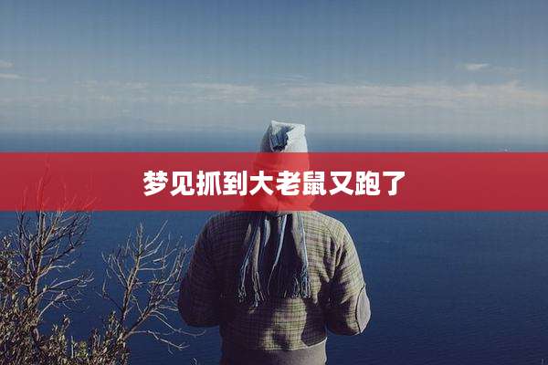 梦见抓到大老鼠又跑了
