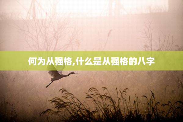 何为从强格,什么是从强格的八字