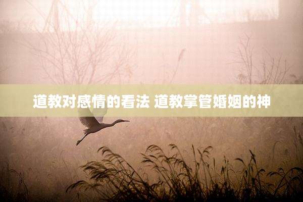 道教对感情的看法 道教掌管婚姻的神