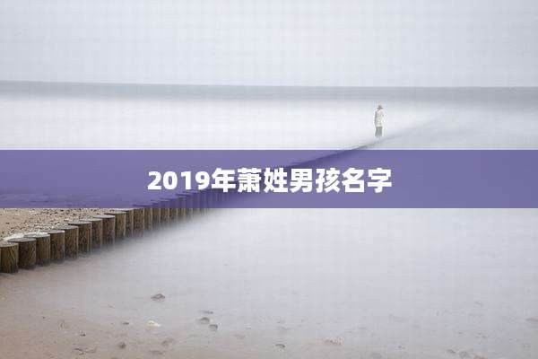 2019年萧姓男孩名字