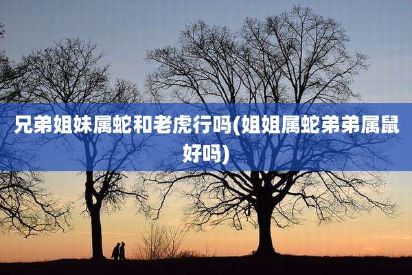 兄弟姐妹属蛇和老虎行吗(姐姐属蛇弟弟属鼠好吗)