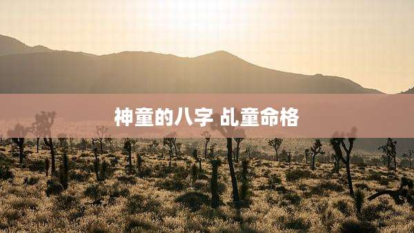 神童的八字 乩童命格