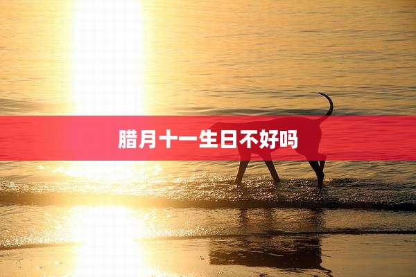 腊月十一生日不好吗