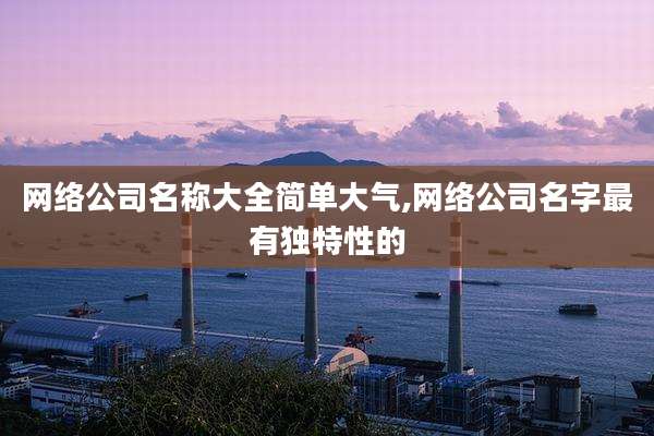 网络公司名称大全简单大气,网络公司名字最有独特性的