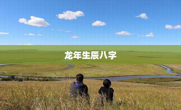 龙年生辰八字
