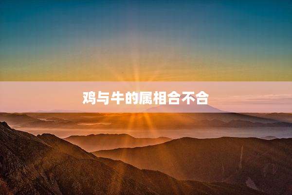 鸡与牛的属相合不合