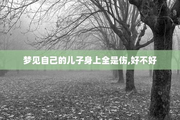 梦见自己的儿子身上全是伤,好不好