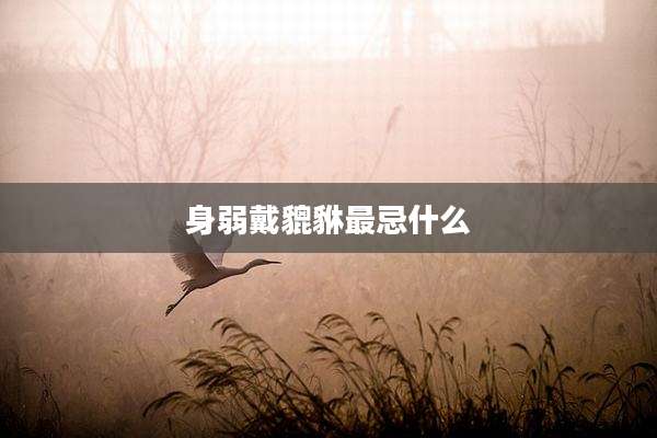 身弱戴貔貅最忌什么